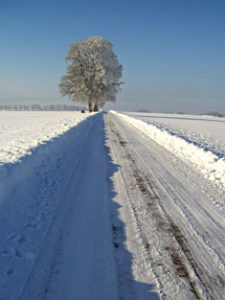 Winterlandschaft mit Feldweg und Baum