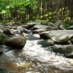 Butterfass Waldnaabtal