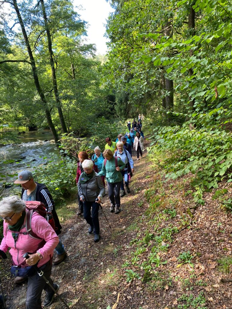 Wanderpfad an der Waldnaab